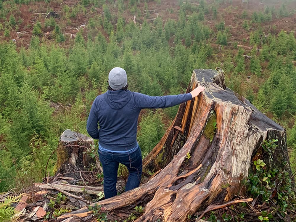 A hand resting on a massive old-growth stump above a clearcut hillside