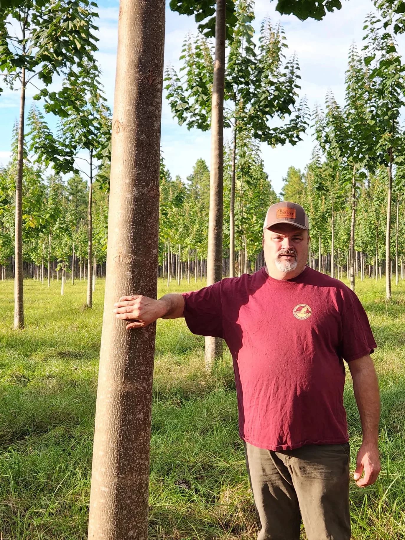 A farming family standing among young paulownia trees