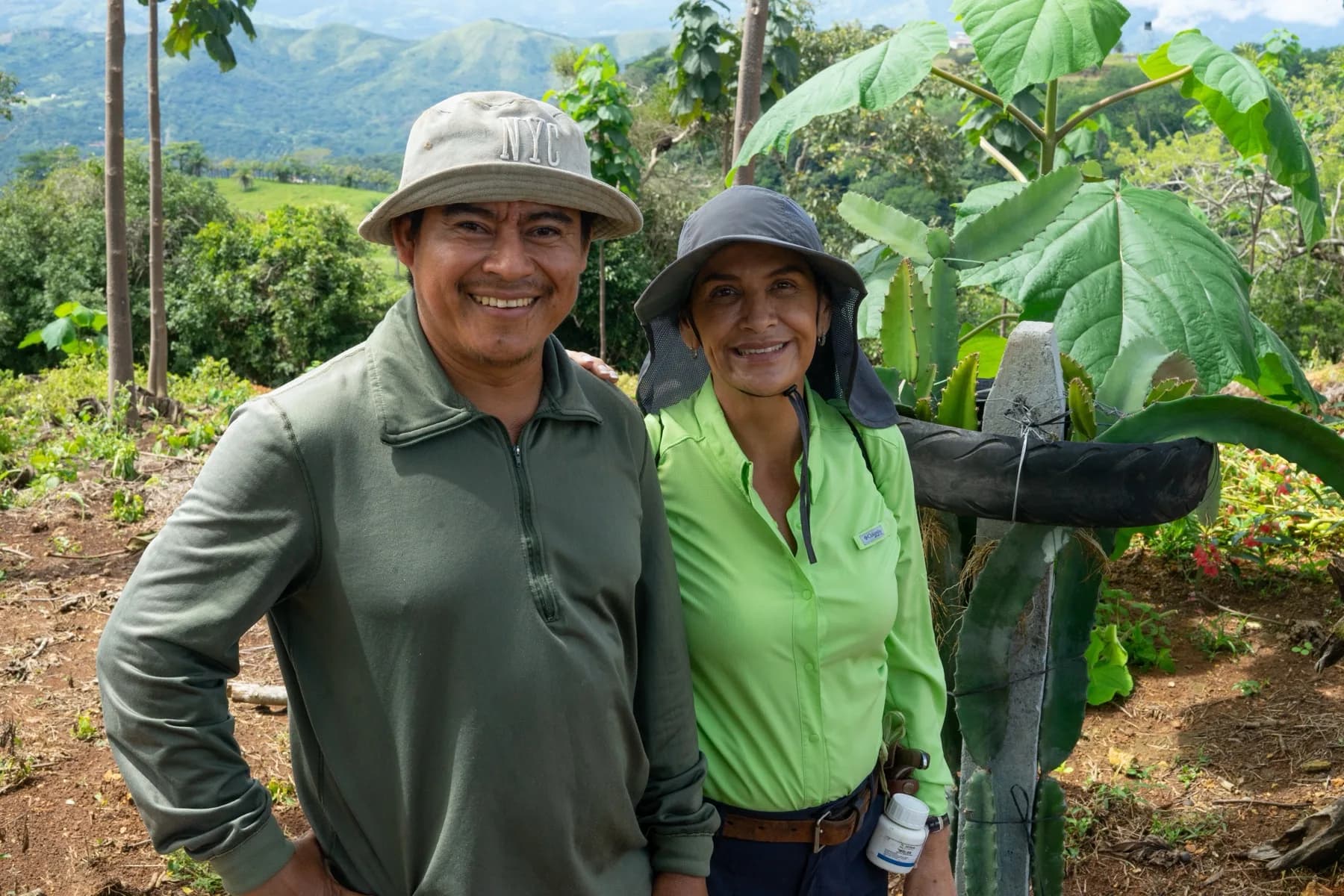 A farming family standing among young paulownia trees