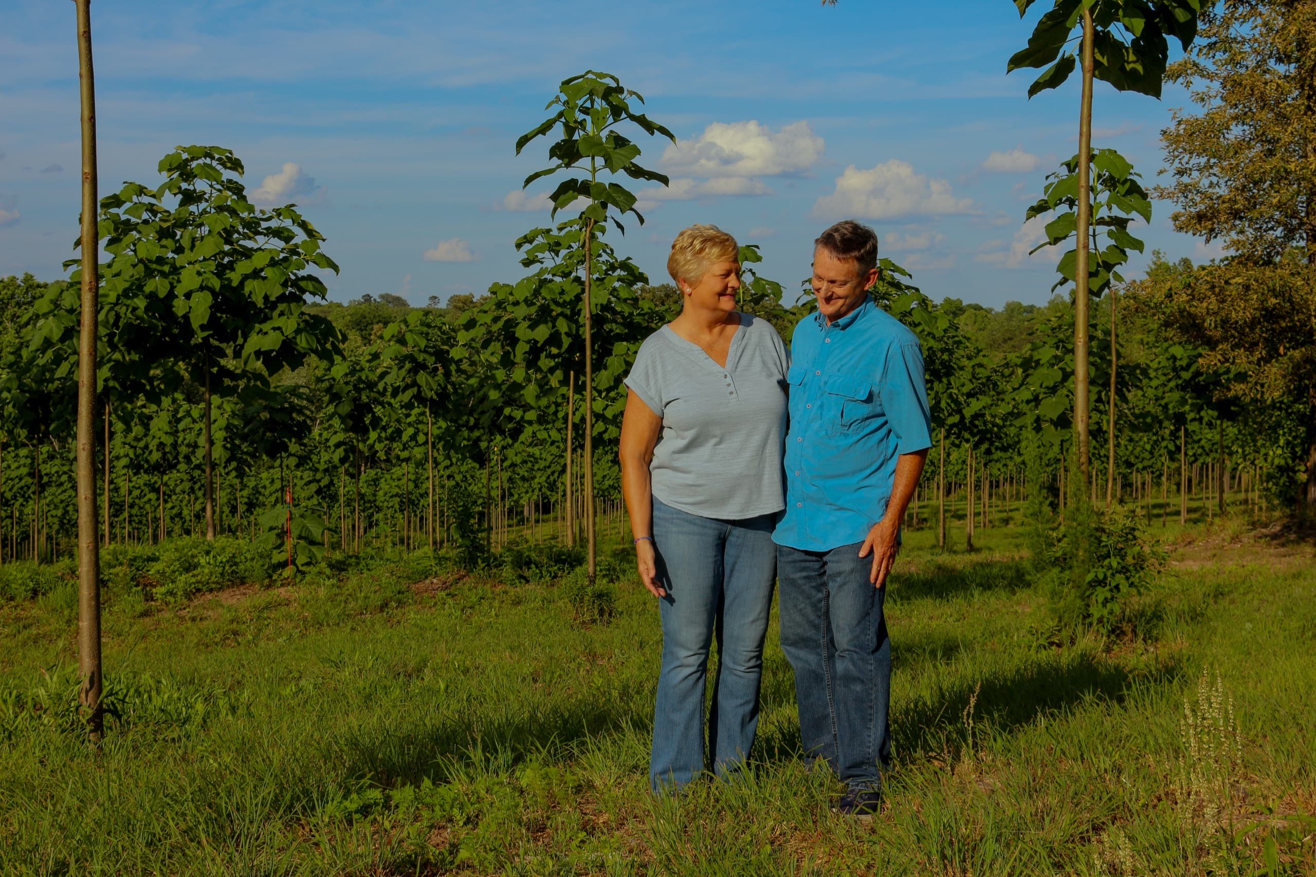 World Tree operations in the field