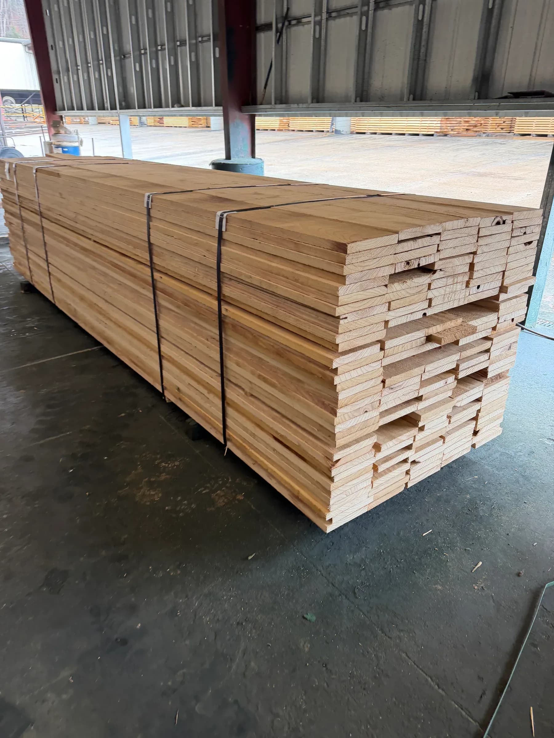 Banded packs of kiln-dried paulownia boards at the lumber yard